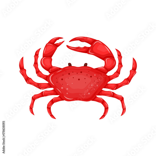 Flat red crab isolated on white background - vector illustration. Sea water animal icon with claws. Seafood product design