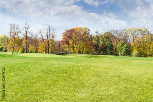 Large glade in the autumn park