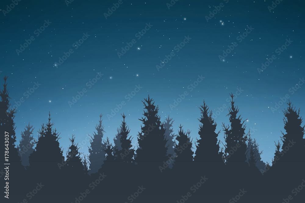 Silhouette of pine trees at night Silhouette of pine trees at night