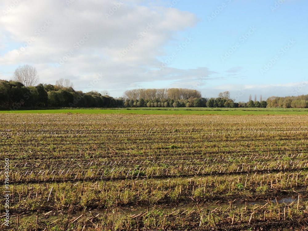 Stoppelfelder am Niederrhein Oktober Landschaft