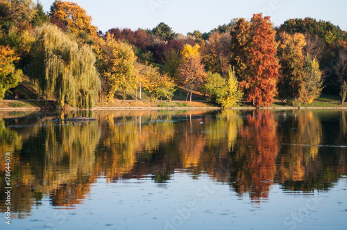 Wallpaper Mural Autumn landscape in the park Torontodigital.ca