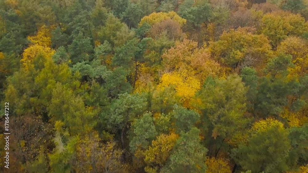 View from the height on the autumn forest View from the height on the autumn forest