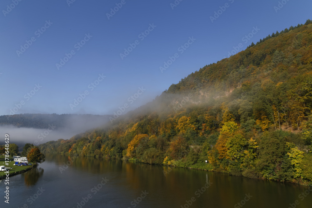 morning fog over the river Neckar in autumn morning fog over the river Neckar in autumn