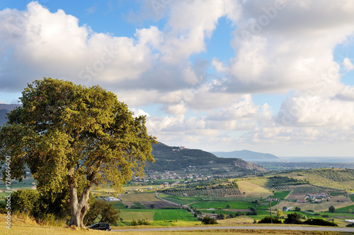 Panoramic view of the green hills and lands near Castellabate, Italy