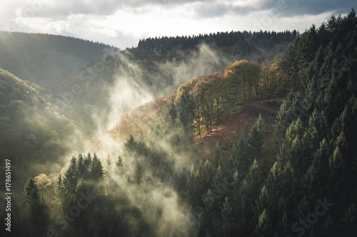 Autumn Mood: Early foggy morning at Geierlay Suspension Bridge, Hunrück, Germany photo