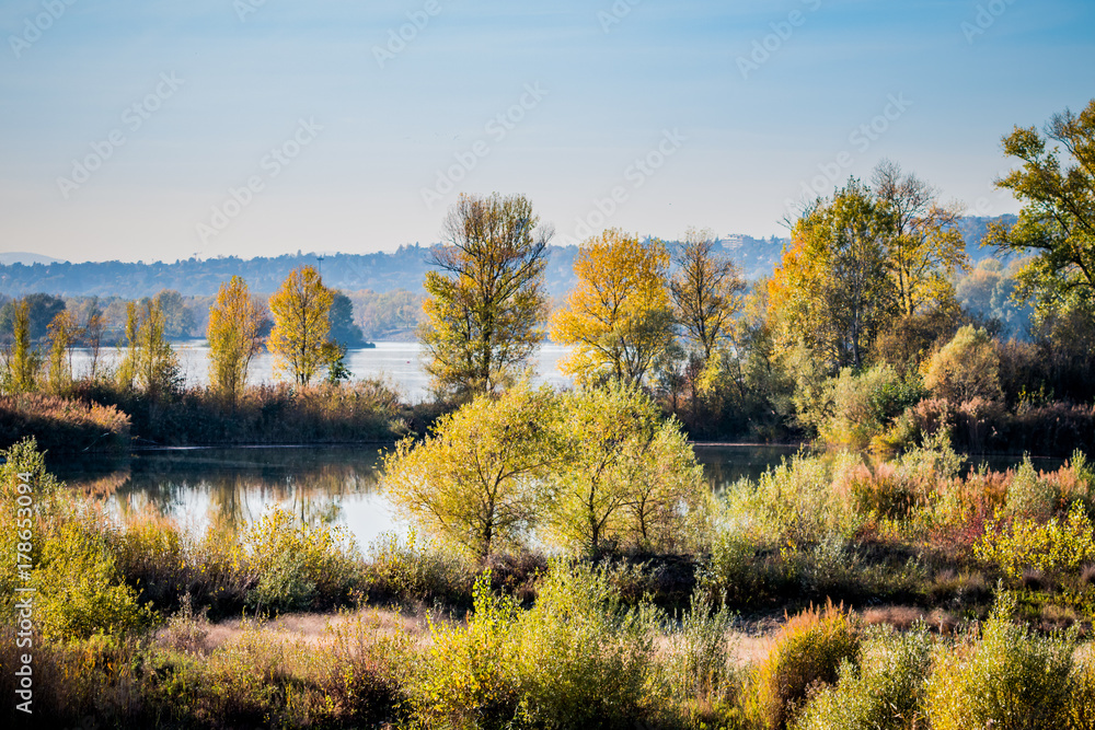 Dans le Grand Parc de Miribel Jonage à l'automne Dans le Grand Parc de Miribel Jonage à l'automne