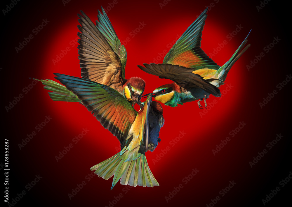 Obraz premium love triangle against the background of the red heart