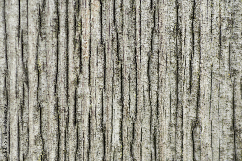 old wood texture