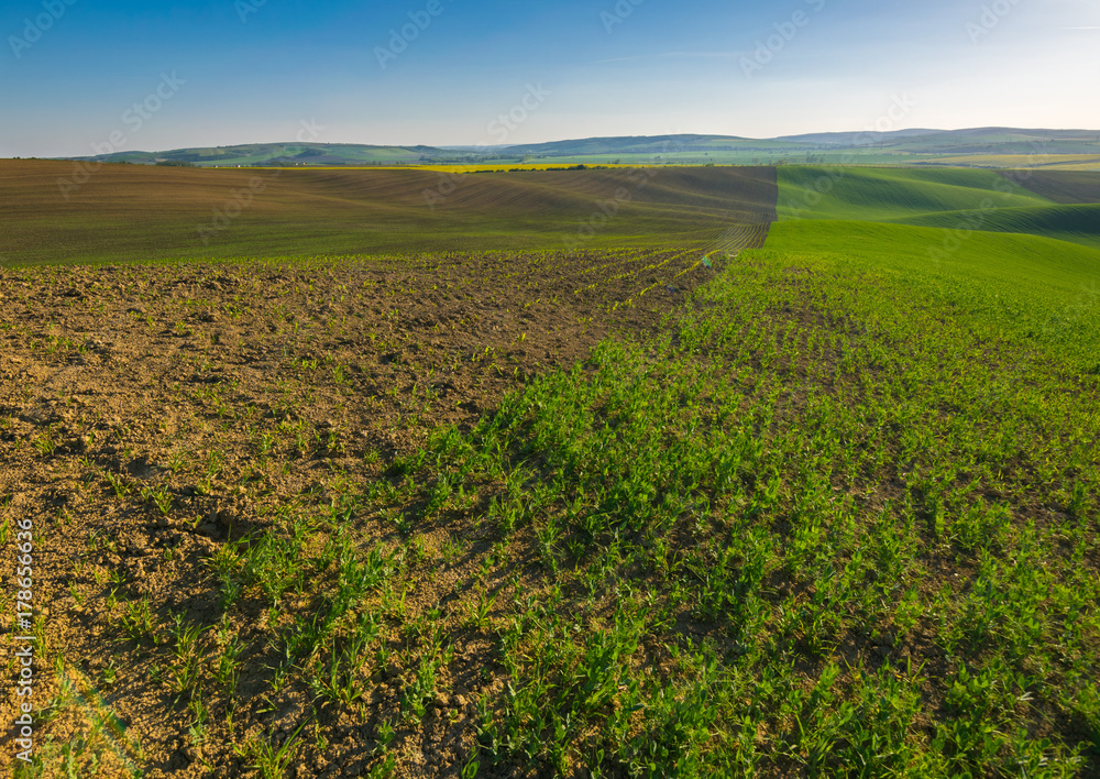 Fields in Moravian Tuscany at Sunset, South Moravian, Europe, Czech Republic