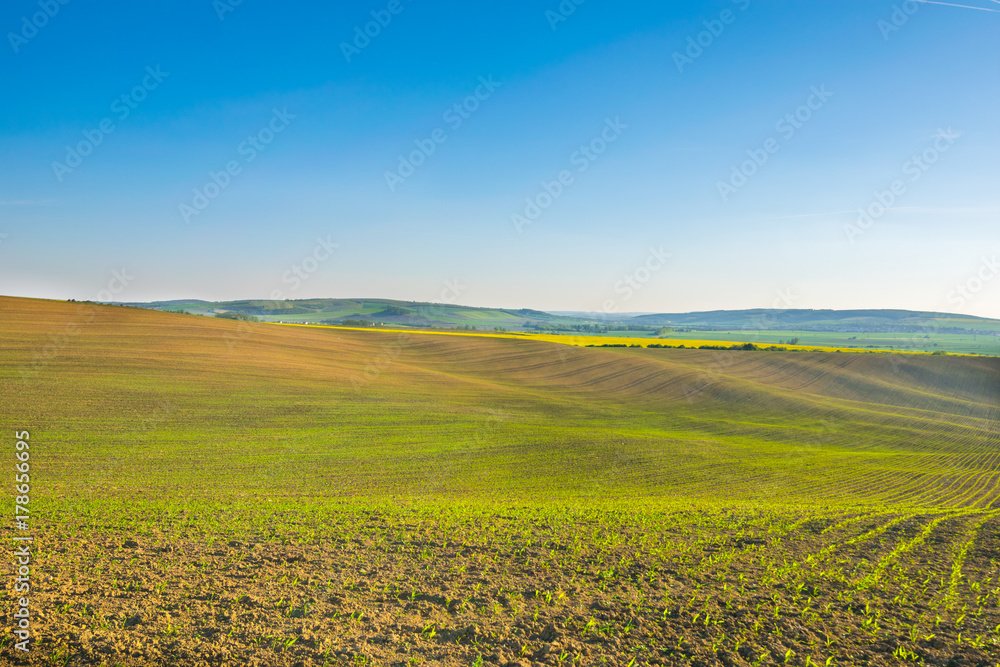 Fields in Moravian Tuscany at Sunset, South Moravian, Europe, Czech Republic Fields in Moravian Tuscany at Sunset, South Moravian, Europe, Czech Republic