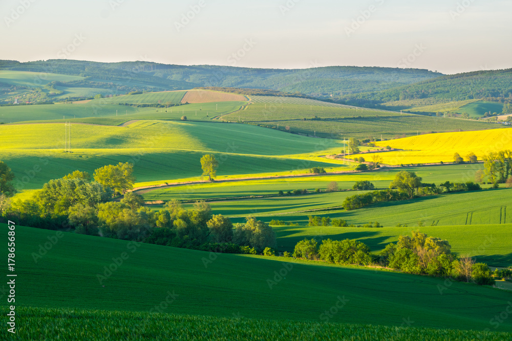 Obraz premium Fields in Moravian Tuscany at Sunset, South Moravian, Europe, Czech Republic