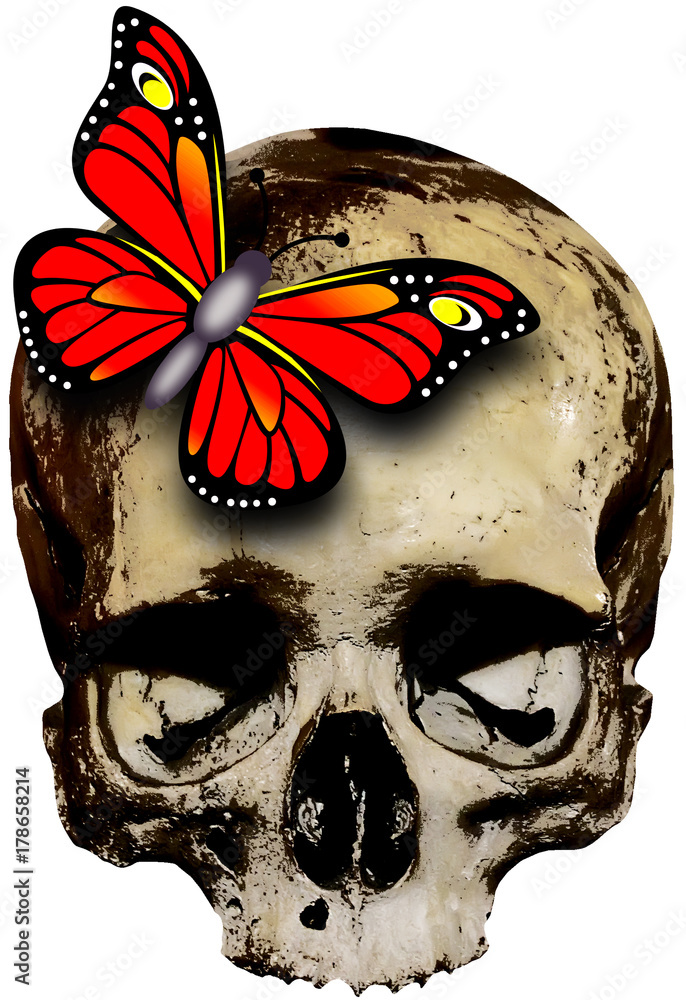 Naklejka premium Skull with red butterfly