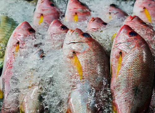 fhish in ice displayed at a fish market photo