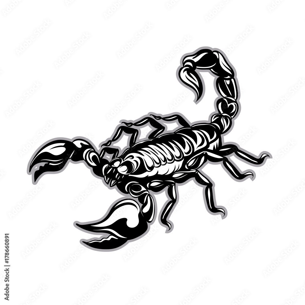 tattoo Scorpion. Vector zodiac tattoo Scorpion. Vector zodiac