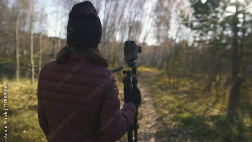Beautiful young lady carrying out tripod at golden hour and walking around forest road at autmn Beautiful young lady carrying out tripod at golden hour and walking around forest road at autmn