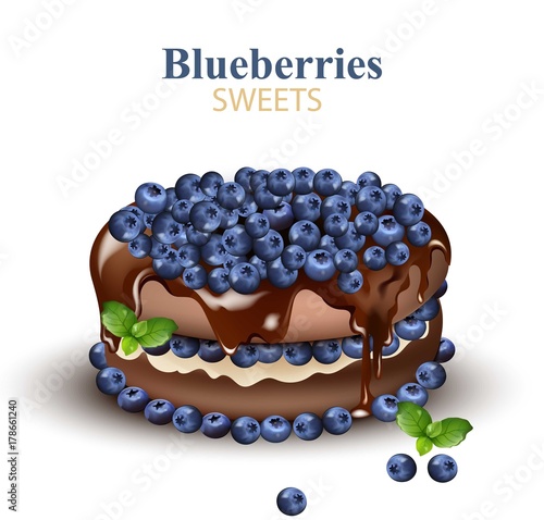Blueberries chocolate cake Realistic Vector