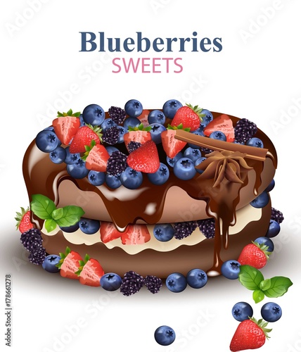 Strawberry and Blueberries chocolate cake Realistic Vector illustration on wh...