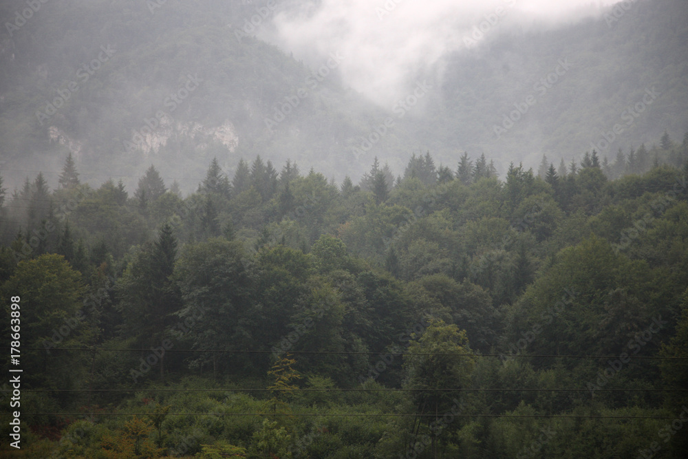 Clouds and fog in the gorge forested mountains