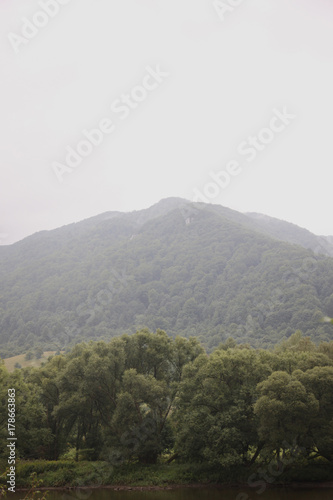 The shore of the lake at the foot of a forested mountain