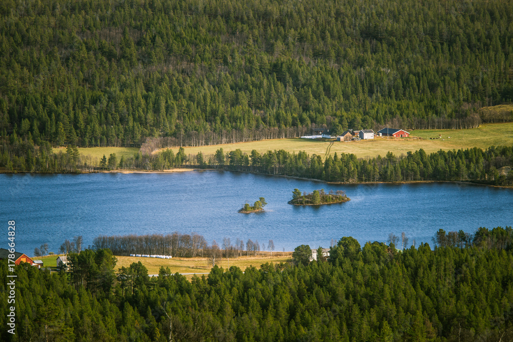A beautiful aerial view of an autumn forest with lake in Norway. Pine trees from above. Colorful forest landscape. A beautiful aerial view of an autumn forest with lake in Norway. Pine trees from above. Colorful forest landscape.