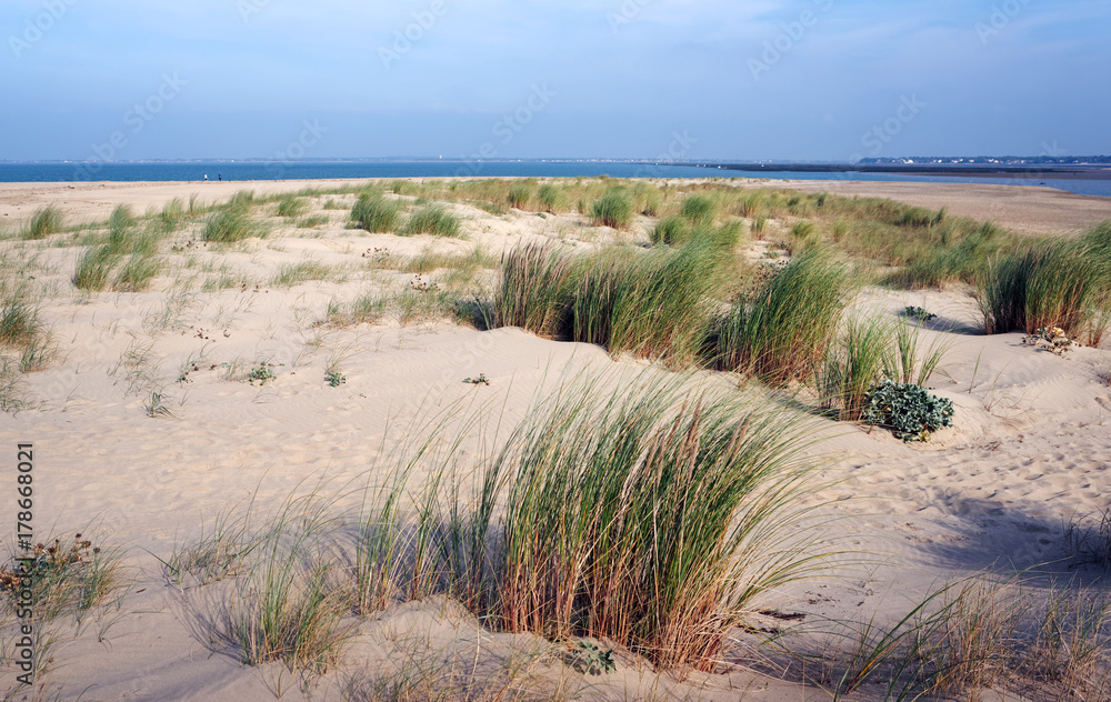 plage du Galon beach in Charente maritime coast