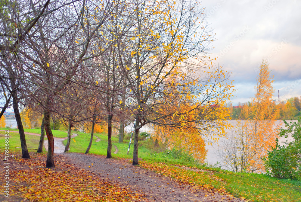 Naklejka premium Park at autumn.