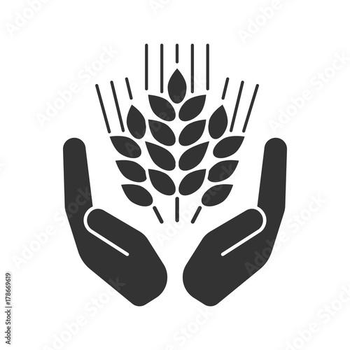 Open palms with wheat ears glyph icon