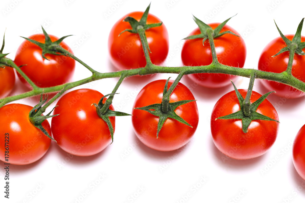 tomatoes on the branches