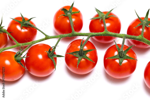 tomatoes on the branches