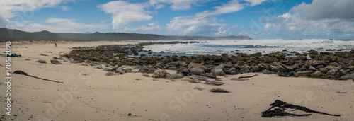 Panoramic view of the shipwreck beach hike in the Cape Point Nature Reserve, South Africa