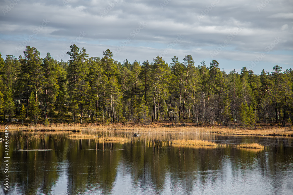 A beautiful autumn landscape at the coast of a lake in Femundsmarka National Park in Norway. Seasonal scenery in fall.