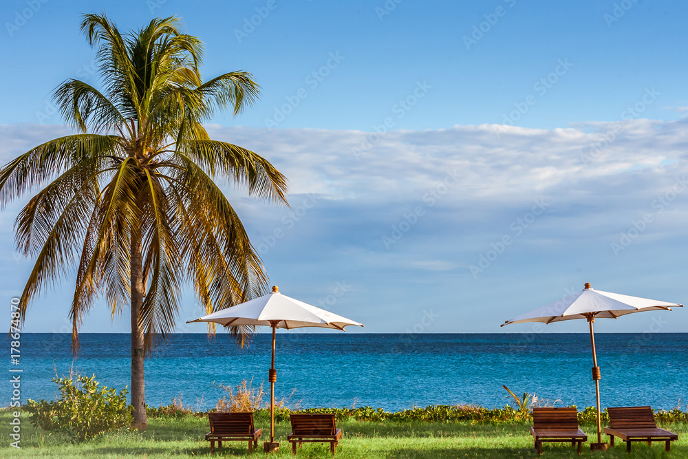 Sunbeds on the lawn