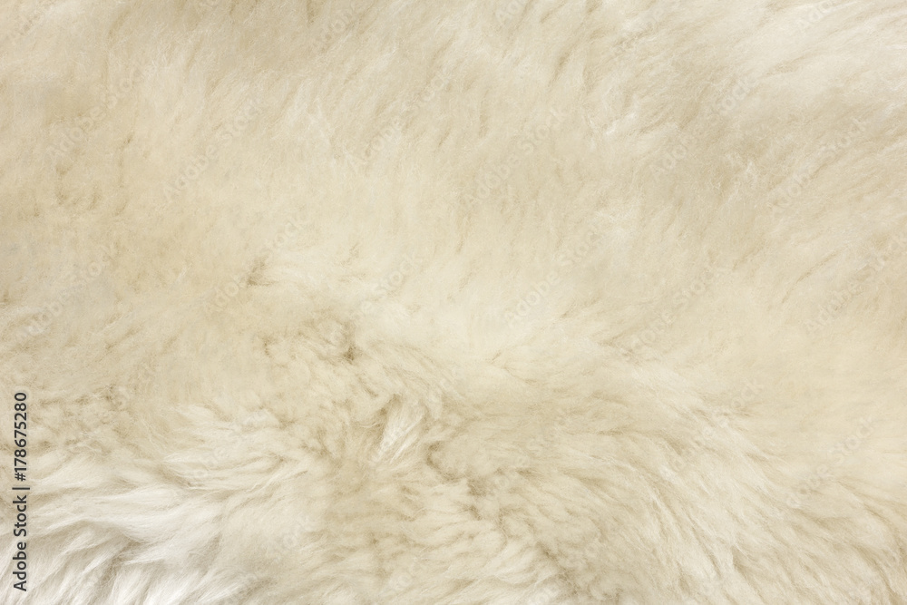 Fototapeta premium Natural Fur Texture