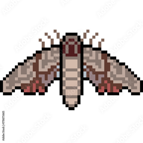 pixel art insect moth
