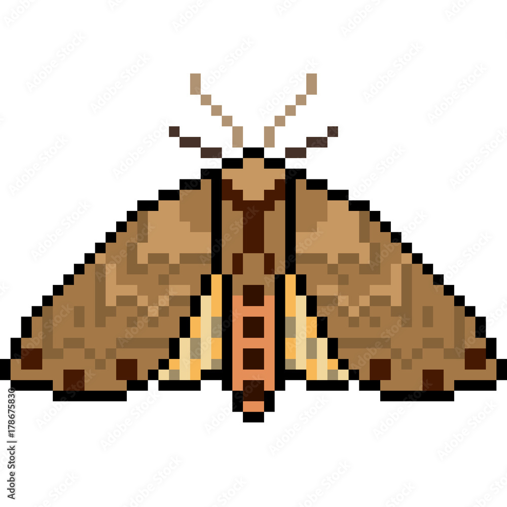 vector pixel art insect moth