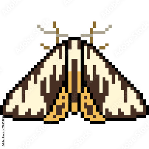 vector pixel art insect moth