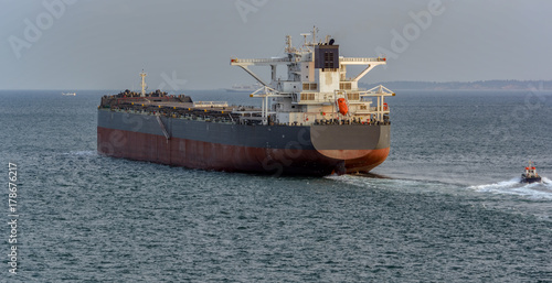 Pilot boat and bulk carrier cargo ship