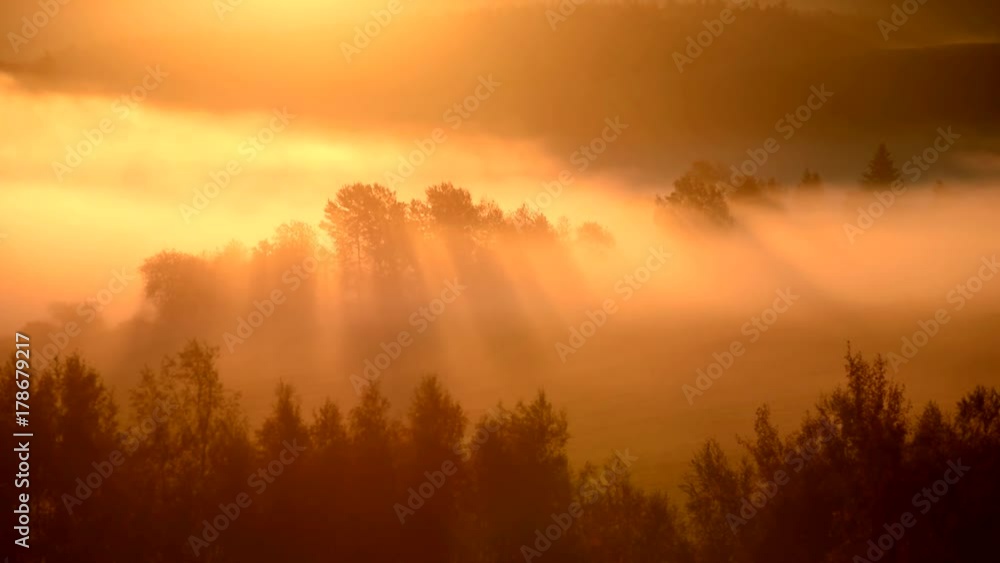 Sun rays between trees at sunrise in mist in autumn landscape. Sun rays between trees at sunrise in mist in autumn landscape.