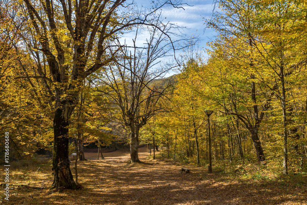 Fototapeta premium Autumn Landscape with yellow near Devil town in Radan Mountain, Serbia