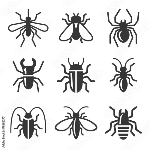 Beetle, Insect and Bug Icons Set. Vector