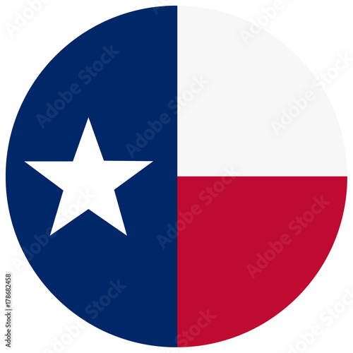 Texas vector flag