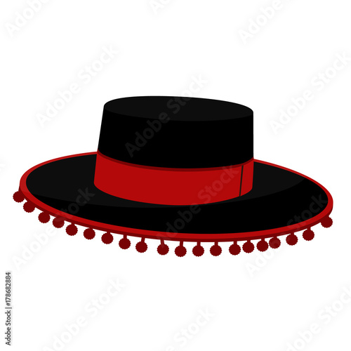 Spanish hat vector