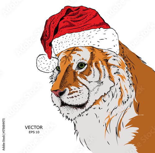 Fototapeta Naklejka Na Ścianę i Meble -  The christmas poster with the image tiger portrait in Santa's hat. Vector illustration.