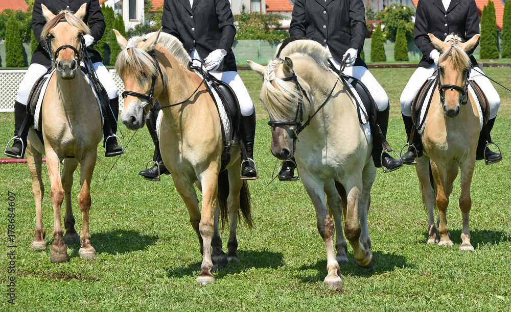 Women are horseback riding at the meadow Women are horseback riding at the meadow