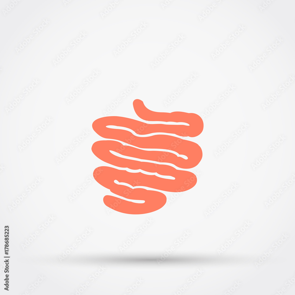 Small intestine vector icon. Small intestine vector icon.