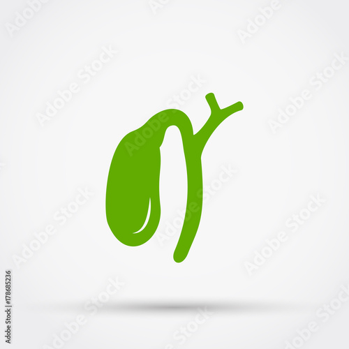Gall bladder vector icon.