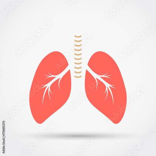 Lungs vector icon.