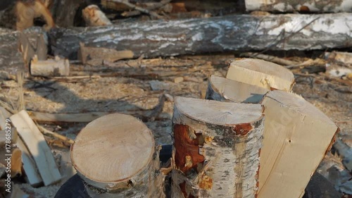 Wallpaper Mural Lumberjack chopping wood with chainsaw and axe in slow motion Torontodigital.ca