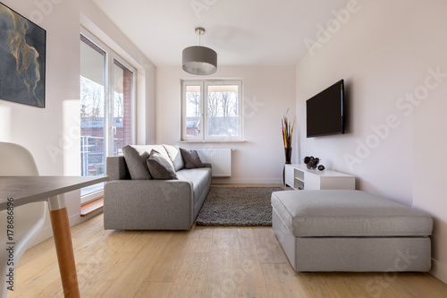 Interior with couch and pouf