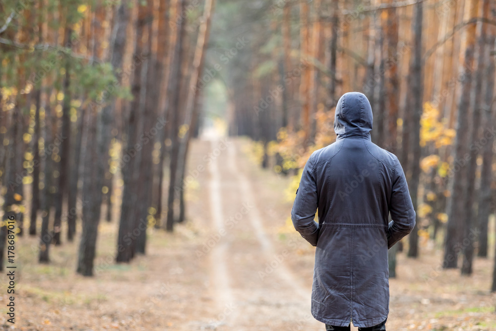 Fototapeta premium a man in a pine forest stands with his back to the camera and looks into the distance. the face hides the hood 
